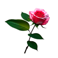 hermoso rosado Rosa flores con verde hojas png