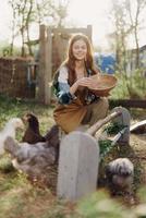 mujer granjero sonrisas alimenta pollos orgánico comida para pájaro salud y bueno huevos y cuidado para el ambiente foto