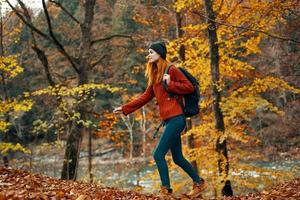 the traveler walks in nature in the park and tall trees yellow leaves river in the background landscape photo