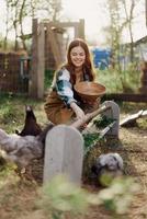 Woman farmer smiles feeds birds chickens organic food for bird health and good eggs and care for the environment, sunset light photo