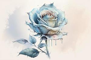 beautiful light blue Rose watercolor no background photo