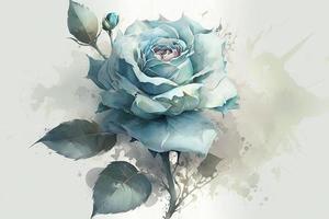 beautiful light blue Rose watercolor photo