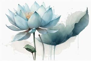 beautiful light blue Lotus watercolor no background photo