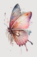 beautiful light pink butterfly watercolor photo