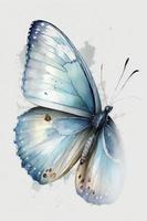 beautiful light blue butterfly watercolor photo