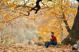 hermosa mujer en un pantalones suéter se sienta en el hojas cerca un árbol paisaje otoño parque bosque foto