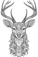 Coloring book page for kids. Deer isolated on white background. Black and White. photo