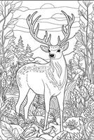 Coloring book page for kids. Deer isolated on white background. Black and White. photo