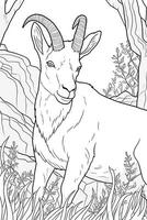 Cute deer coloring page for kids. Black and white. photo