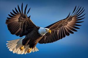 el volador águila en azul antecedentes. águila logo modelo ai foto