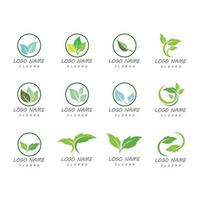 Mint leaves flat vector color icon template illustration design