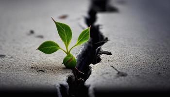 joven planta brote rompió mediante suelo. nuevo vida alegoría ai foto