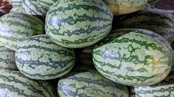 Watermelon fruits image photo