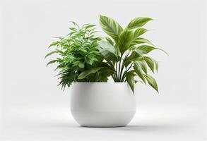 plantas de interior en un maceta en un blanco antecedentes. 3d representación generativo ai foto