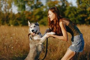 un esbelto mujer obras de teatro y bailes con un fornido raza perro en naturaleza en otoño en un campo de césped y sonrisas a un bueno noche en el ajuste Dom foto