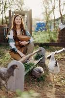 mujer granjero sonrisas alimenta pollos orgánico comida para pájaro salud y bueno huevos y cuidado para el ambiente foto