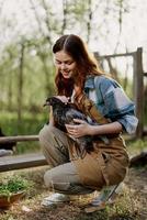 A woman with a smile takes care of the health of a chicken and holds a chicken in her hands while working on a farm in nature feeding the birds organic food photo