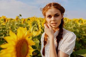 beautiful woman with pigtails in a sunflower field nature sun landscape photo