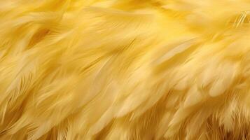 , Beautiful light yellow closeup feathers, photorealistic background. Small fluffy yellow feathers randomly scattered forming photo