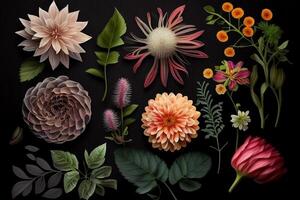 Flowers and leaves on a black background. Flat lay, top view. photo