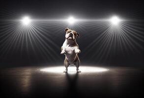 Funny pug dog dancing in studio with lights and spotlights photo