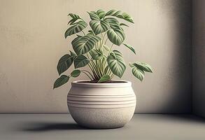 Houseplants in a pot on a white background. 3d rendering photo