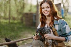 A woman with a smile takes care of a healthy chicken and holds a chicken in her hands while working on a farm in nature feeding organic food to birds in the sunshine. photo