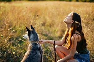 A woman sits next to her dog friend husky in a field of grass and holds the dog on a leash while looking at the sunset of the autumn sun photo