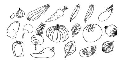 Hand drawn vegetable outlines, perfect for coloring pages in children's books or educational materials. The set of vector icons adds versatility and customization options for a range of projects.