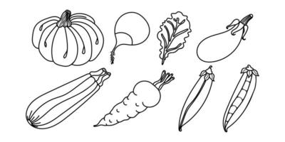 Hand drawn vegetables. Set of icons, hand drawn vegetables. Pumpkin, carrot, pea pod, zucchini squash, leaf, eggplant, radish. For coloring page in children book. Black and white. Vector illustration.