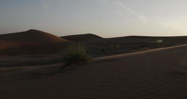 areia dunas dentro meio Oriental deserto panorama dentro Unidos árabe Emirados video