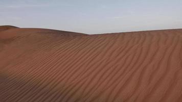mitten östra öken- landskap, sand sanddyner video