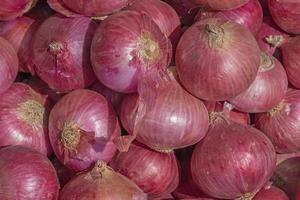 heap of red onions on market photo