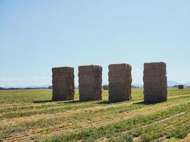 large stacks of hay on a farming field photo