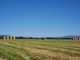 Farm field with stacks of hay photo