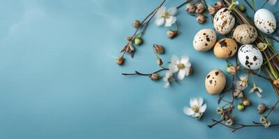 Banner of Easter quail eggs, and flowers over blue background - photo