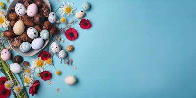 Banner of Easter quail eggs, and flowers over blue background - photo