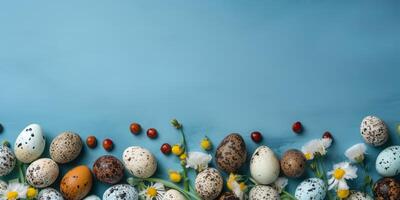 Banner of Easter quail eggs, and flowers over blue background - photo