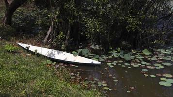 A small white row boat at the side of the lake or pond. photo