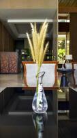 Dried Pampas Grass Phragmites Reed Flower in the glass vase at the table. photo