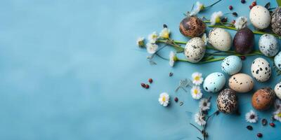 Banner of Easter quail eggs, and flowers over blue background - photo