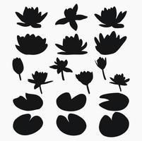 Real modern silhouettes plants, herbs. Drawing flowers water lily, nymphaea. Flat design art design template. vector