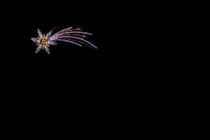 light illumination of the Star of Bethlehem on a black smooth background photo