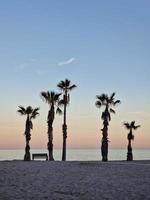 playa paisaje paz y tranquilo puesta de sol y cuatro palma arboles en el playa y un banco foto