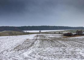 invierno agrícola paisaje con nieve en un nublado día en Polonia foto