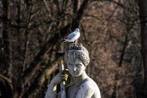 monument with a tern on the head of a statue in a historic park in warsaw on a winter day photo