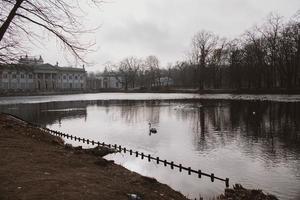 agua palacio en el roya parque en Polonia en el estanque en un otoño día foto