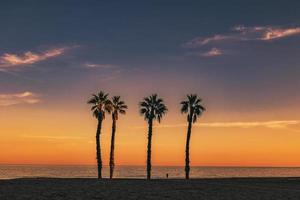 playa paisaje paz y tranquilo puesta de sol y cuatro palma arboles en el playa foto