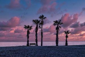 seaside landscape peace and quiet sunset and four palm trees on the beach and a bench photo