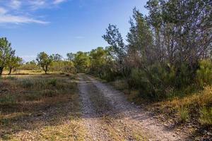 summer landscape of aragon spain on a warm sunny day road and trees photo